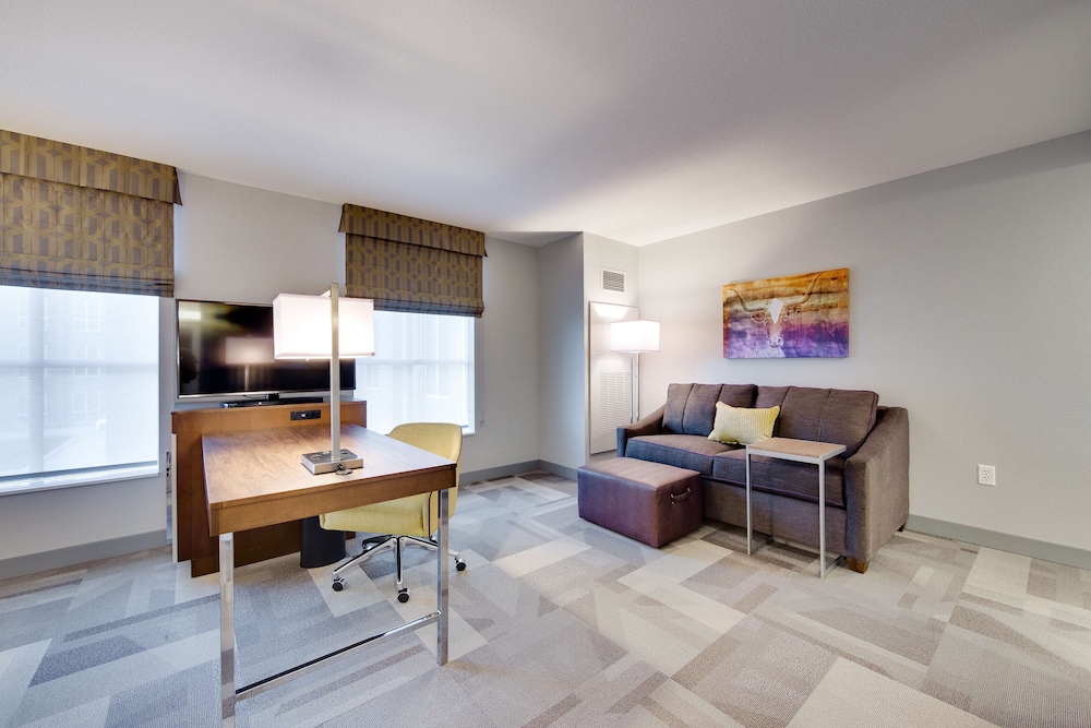 Suite, 1 King Bed with Sofa bed photo 2