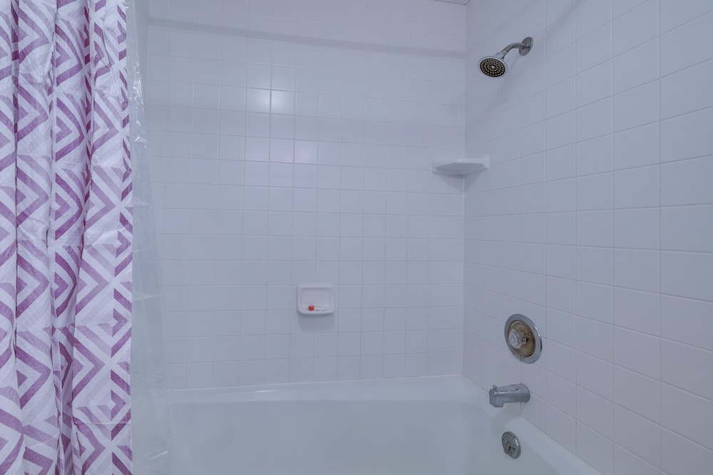 Apartment (2 Bedrooms) photo 2
