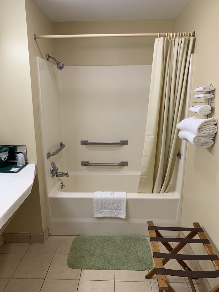 Basic Single Room photo 1