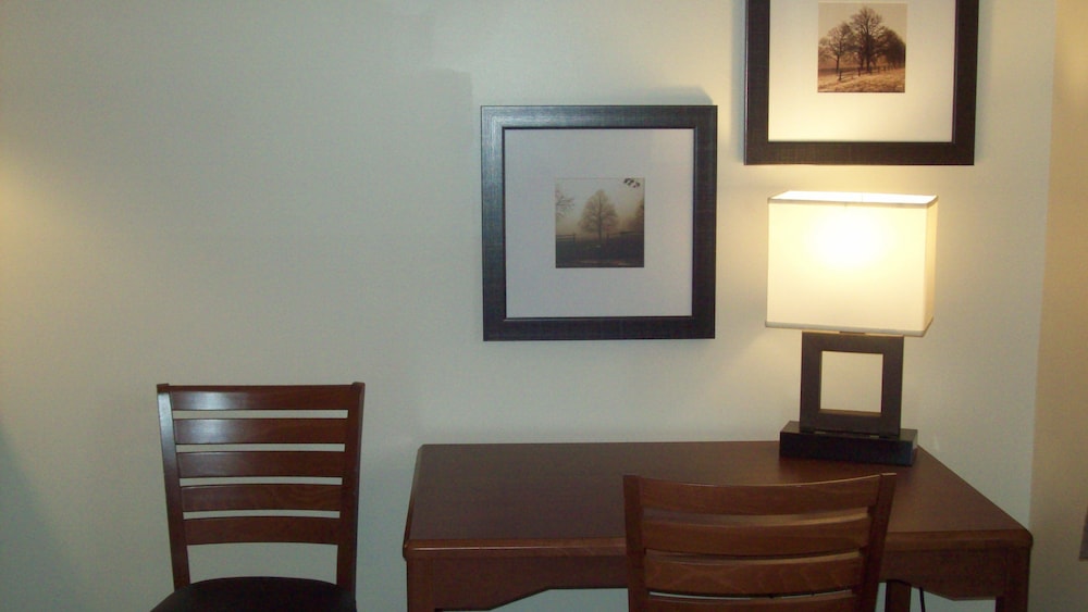 Studio Suite, 1 King Bed, Non Smoking, Lake View - Photo 3