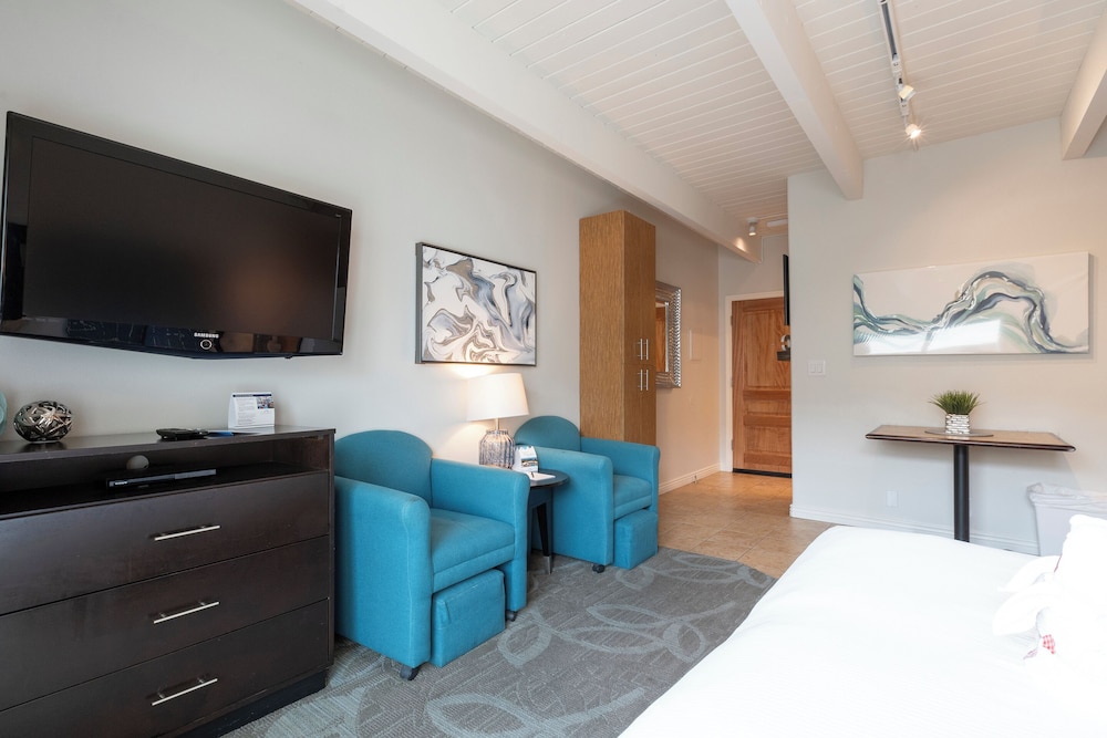 Standard Studio, 1 Queen Bed - Photo 4