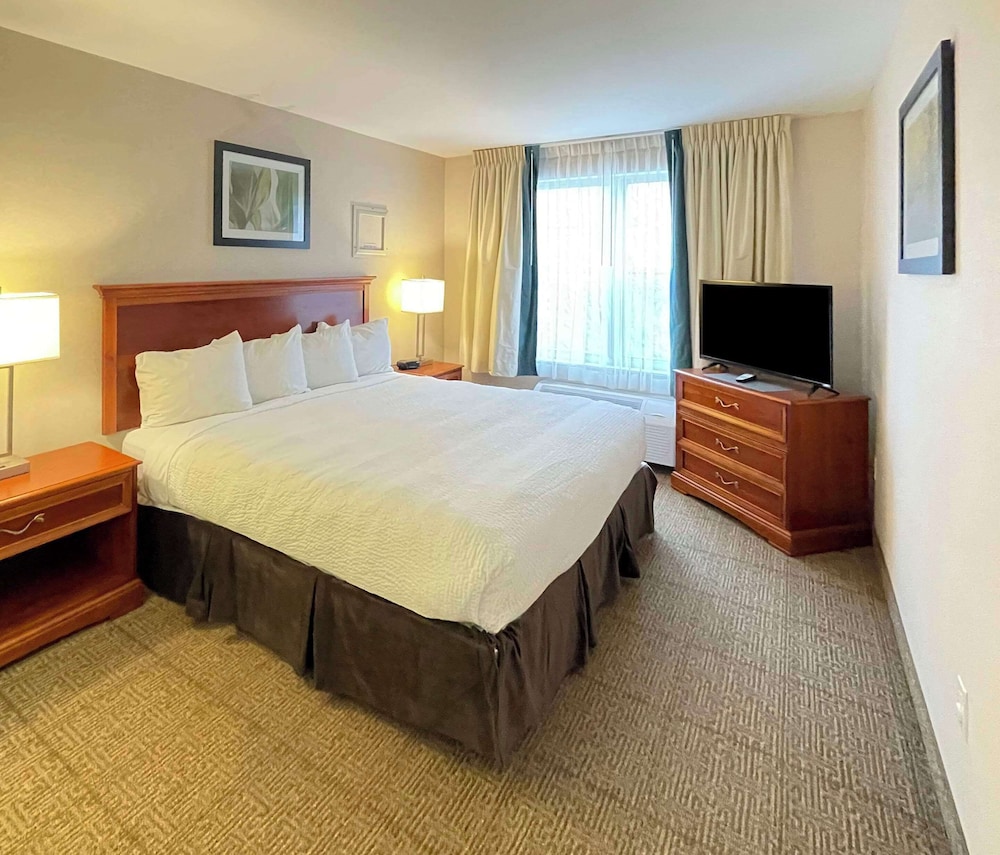 Suite, 1 King Bed with Sofa bed, Accessible, Non Smoking photo 1