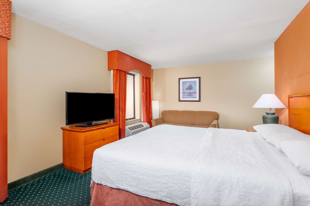 Studio, 1 King Bed, Accessible (Roll-In Shower) - Photo 4
