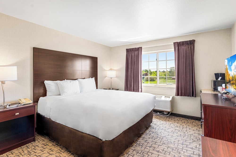 Suite, 1 King Bed with Sofa, Non Smoking photo 2