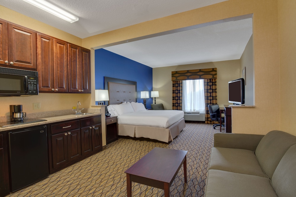 Suite, 1 King Bed photo 1