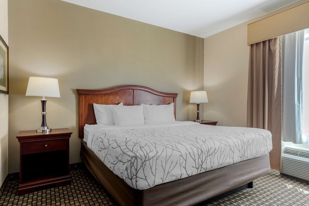 Suite, 1 King Bed, Accessible, Bathtub (with Sofabed) photo 1
