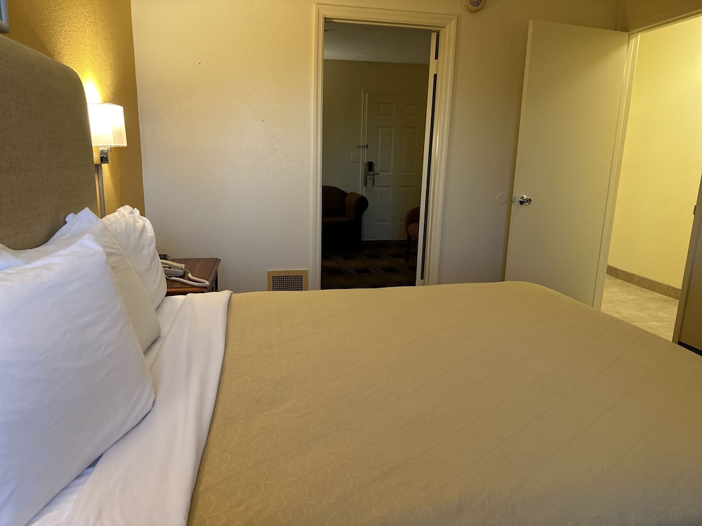 Deluxe Single Room photo 2