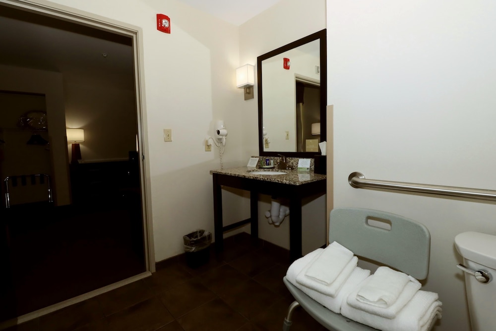 Suite, 1 King Bed with Sofa bed, Accessible, Non Smoking photo 2