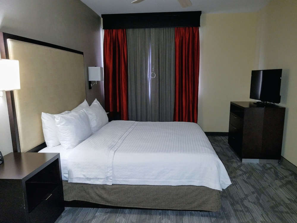 Suite, 1 King Bed, Accessible, Non Smoking (Roll-in shower) - Photo 4