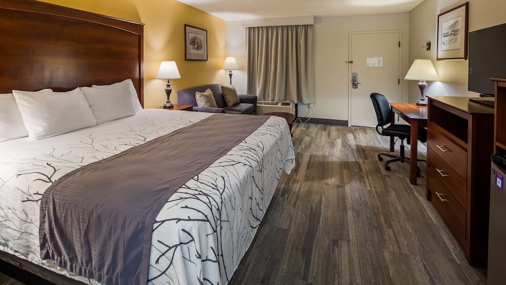 Standard Room, 1 King Bed, Accessible, Bathtub photo 1