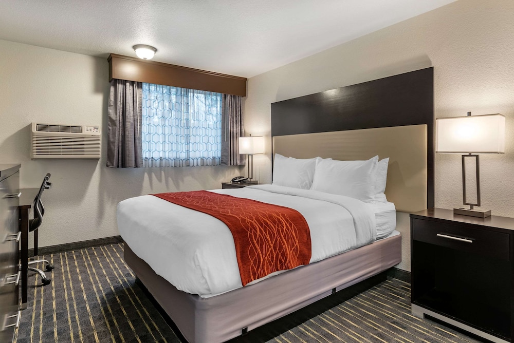 Standard Room, 1 King Bed, Non Smoking