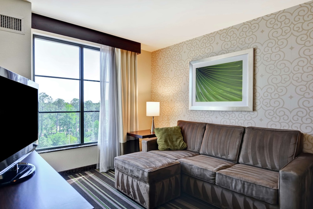 Suite, One King Bed, Accessible - Photo 2