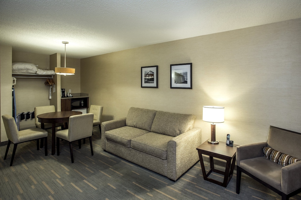 Suite, 1 Bedroom - Photo 5