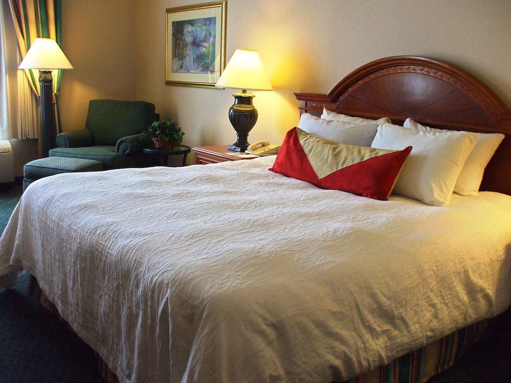 One King Bed, Accessible - Photo 2