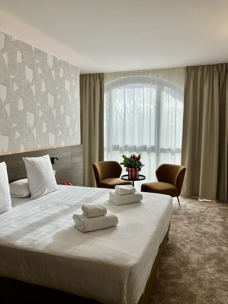 Superior Double or Twin Room, 1 King Bed, River View photo 3