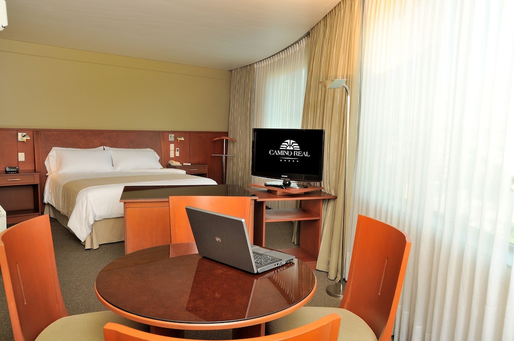 Suite, 1 King Bed - Photo 3