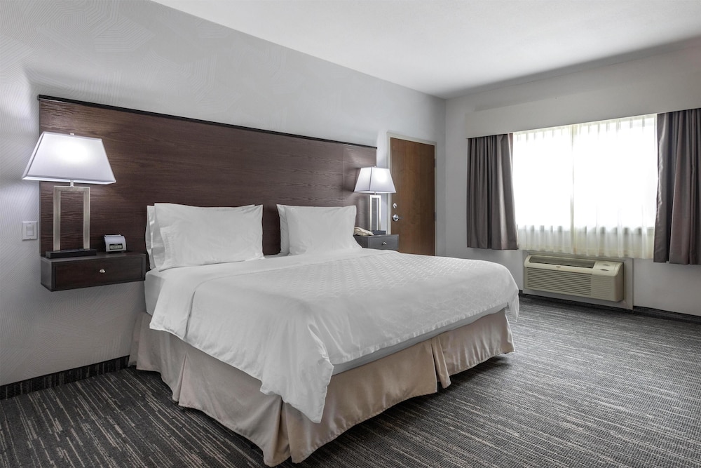 Standard Room, 1 King Bed, Accessible, Non Smoking (Dining Table) - Photo 1