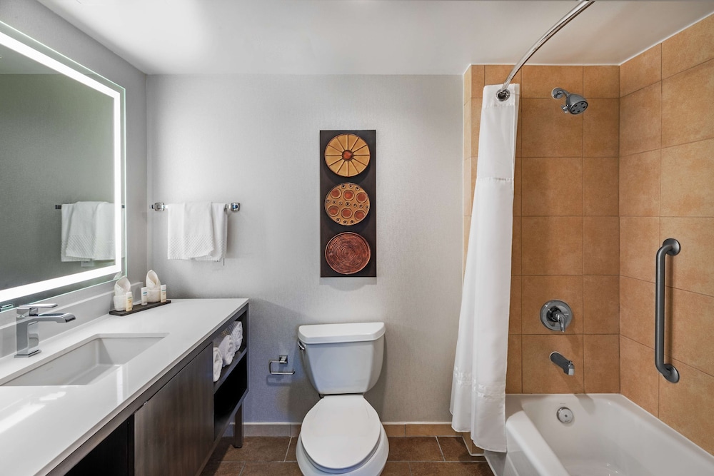 Deluxe Suite, Accessible, Non Smoking photo 3