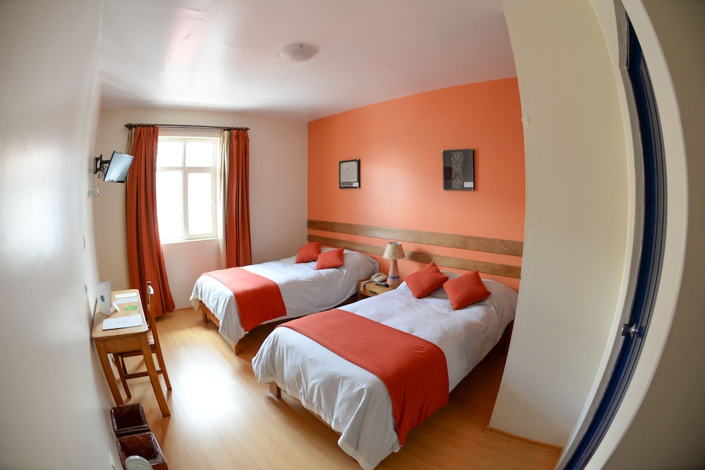 Twin Room photo 2