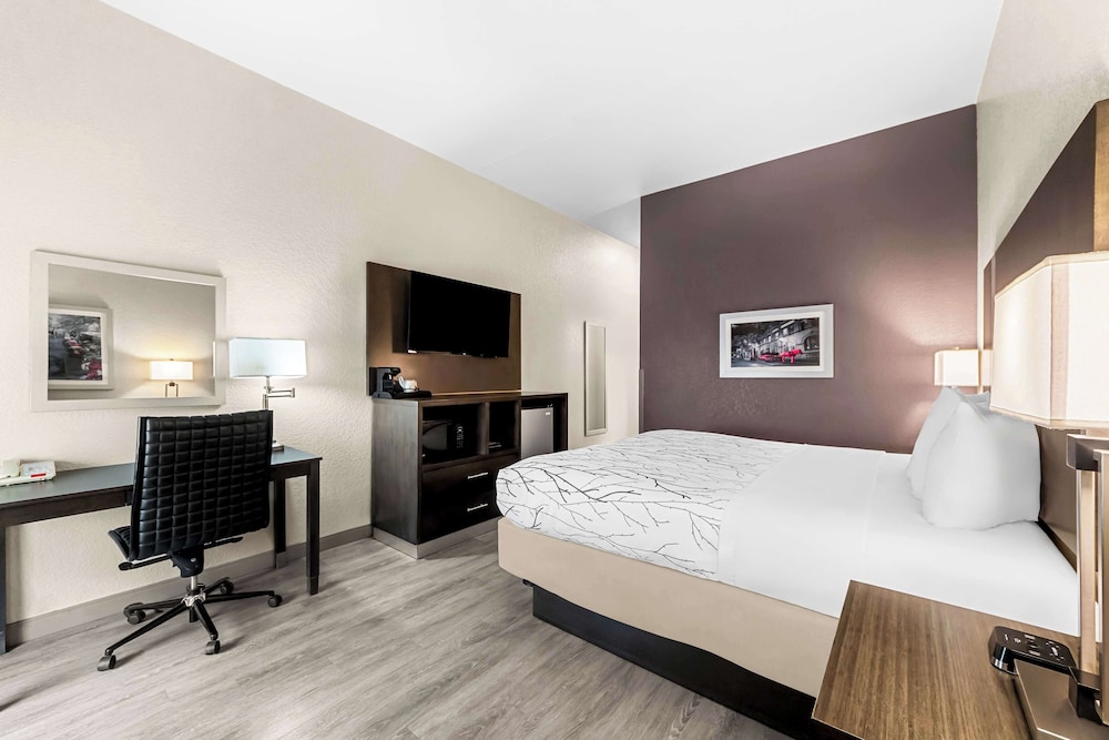 Standard Room, 1 King Bed, Non Smoking, Refrigerator & Microwave (with Sofabed) - Photo 1