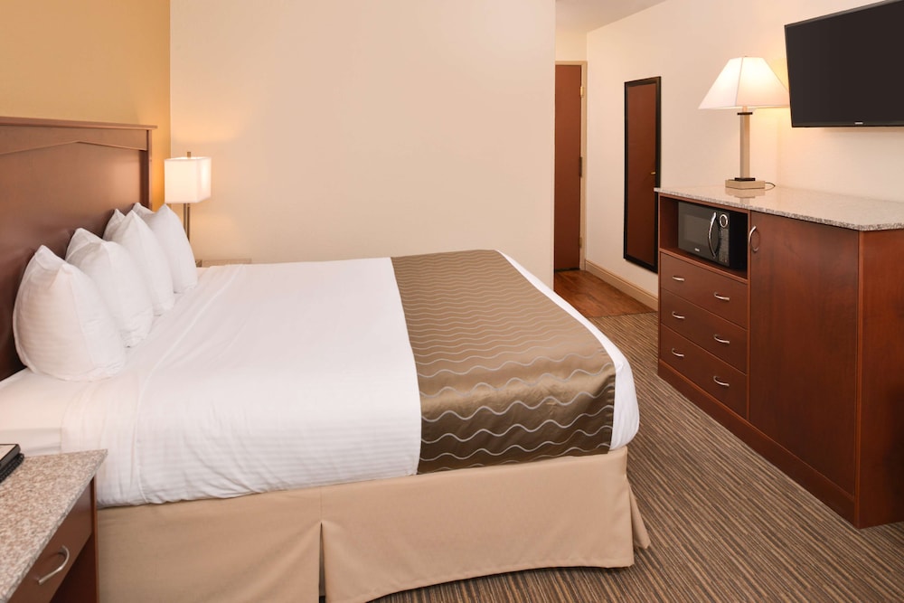 Standard Room, 1 King Bed, Non Smoking, Refrigerator & Microwave (1st Floor;Shower Only;Small Room) - Photo 5