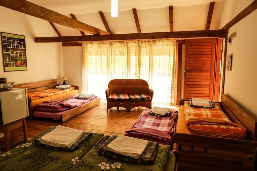 Room, Multiple Beds photo 2