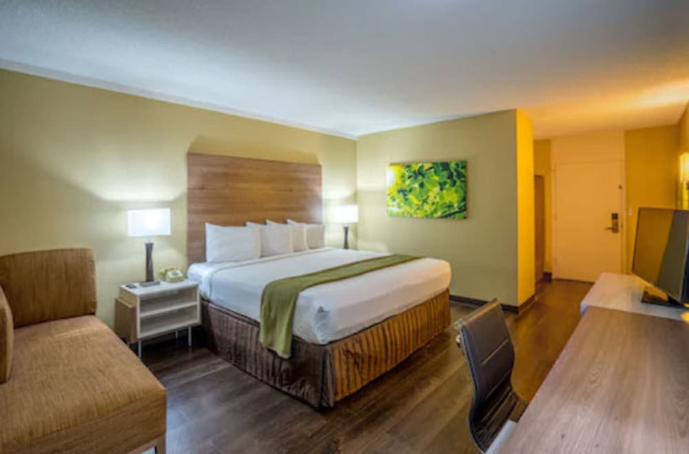 Room, 1 King Bed, Non Smoking photo 2