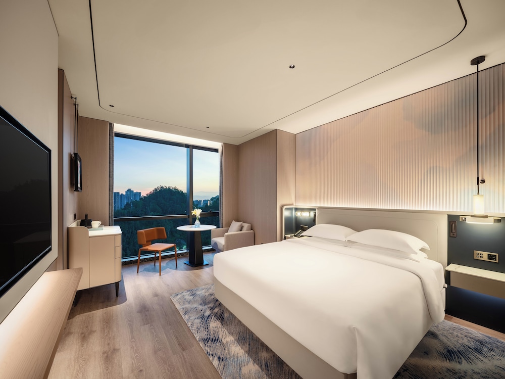 Superior Single Room, City View