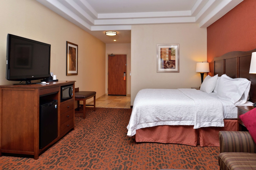 Room, 1 King Bed, Accessible - Photo 5