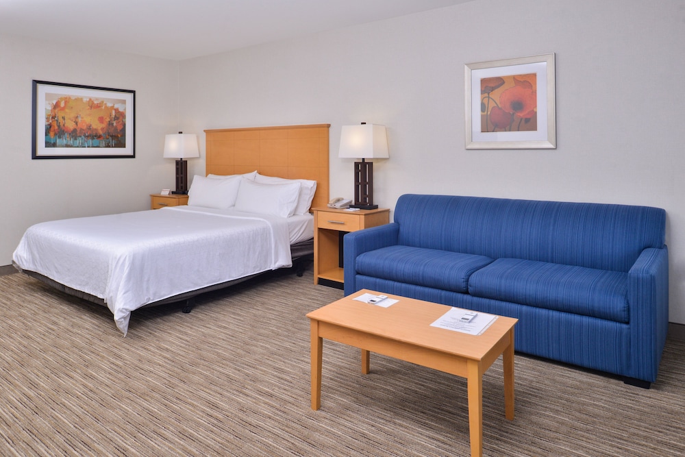 Suite, 1 King Bed - Photo 2