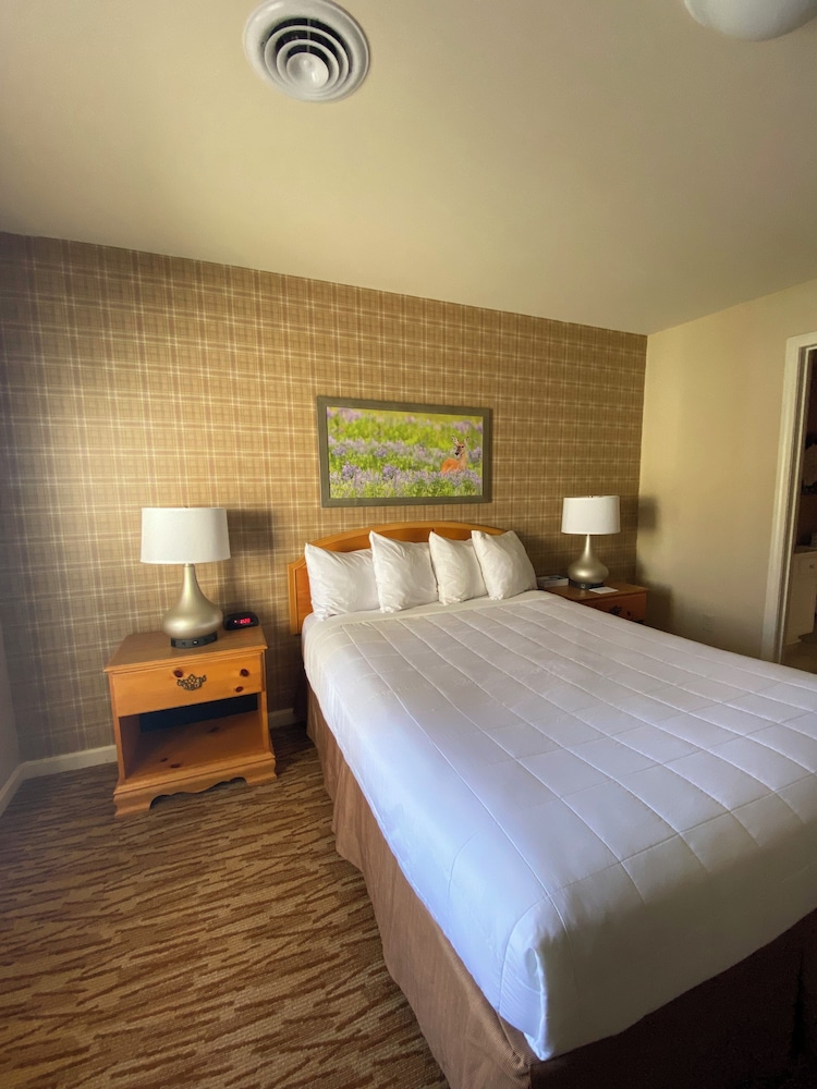 Premier One Bedroom Suite, Nature View photo 1
