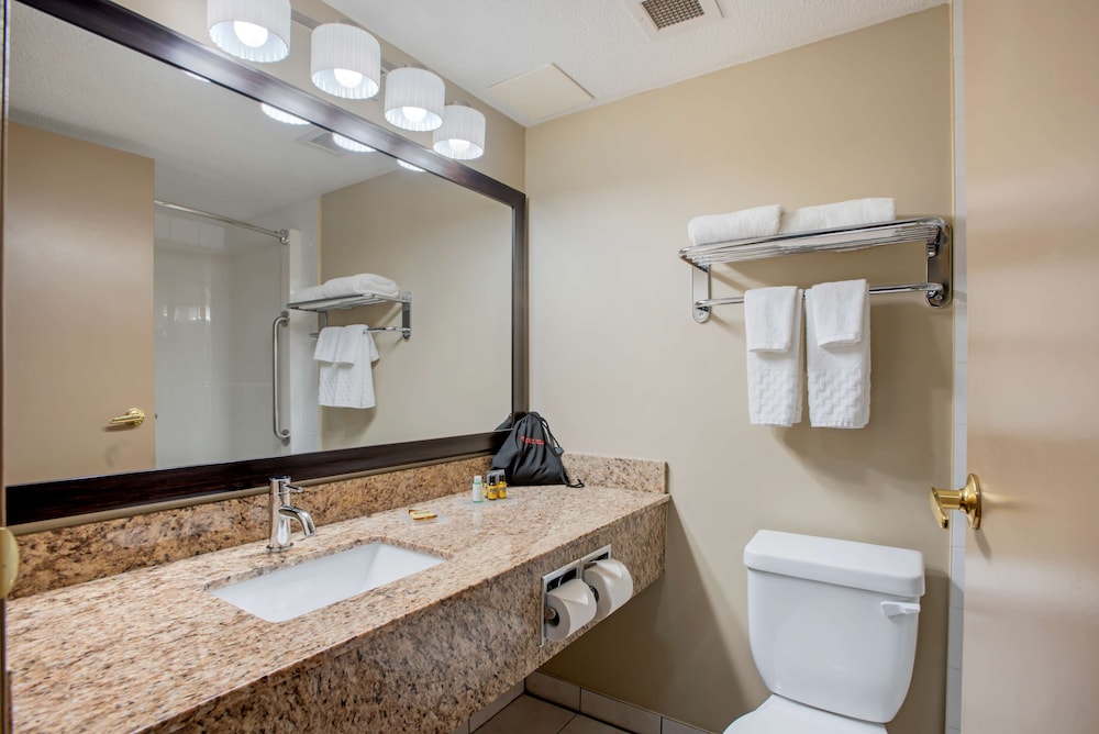 Suite, 1 King Bed, Non Smoking, Refrigerator & Microwave (with Sofabed) - Photo 4