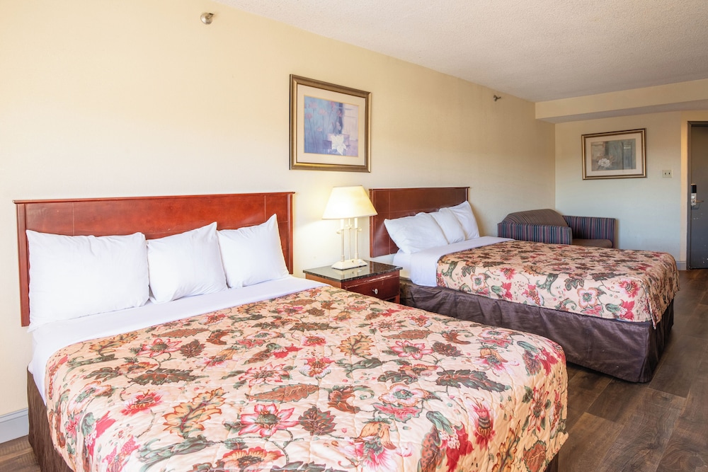 Deluxe Double Room - Photo 8