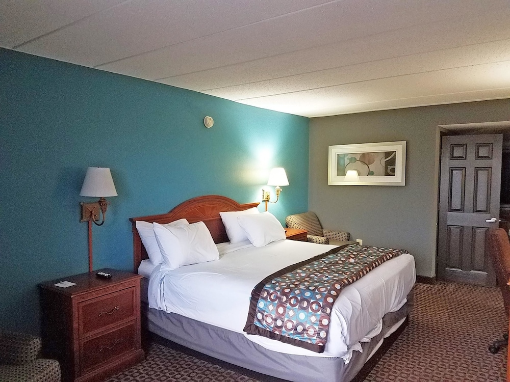 Room, 1 King Bed, Smoking - Photo 1