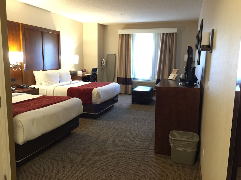 Studio Suite, 2 Queen Beds - Photo 8