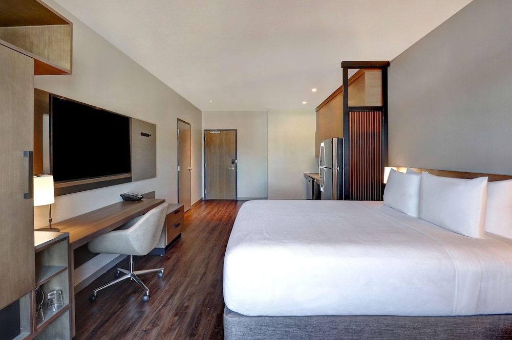 Room, 1 King Bed, Accessible, Kitchenette (Specialty, Shower) - Photo 1