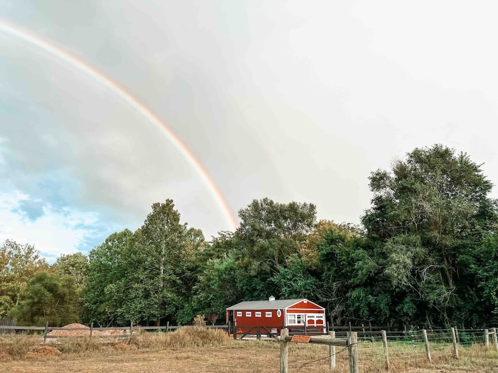 Ruby s Red Cabin Hot Tub Nature Horses Indy, Billede 8