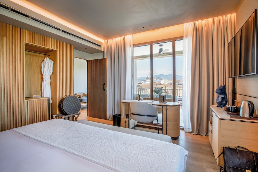Junior Suite (Single Use TERRACE LARIOS)