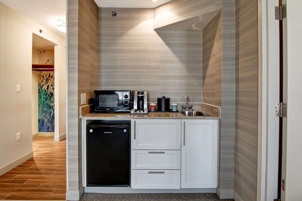 Suite, 1 King Bed