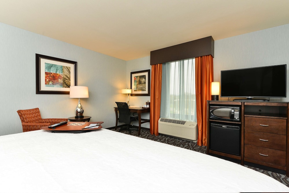 Room, 1 King Bed, Refrigerator & Microwave photo 2