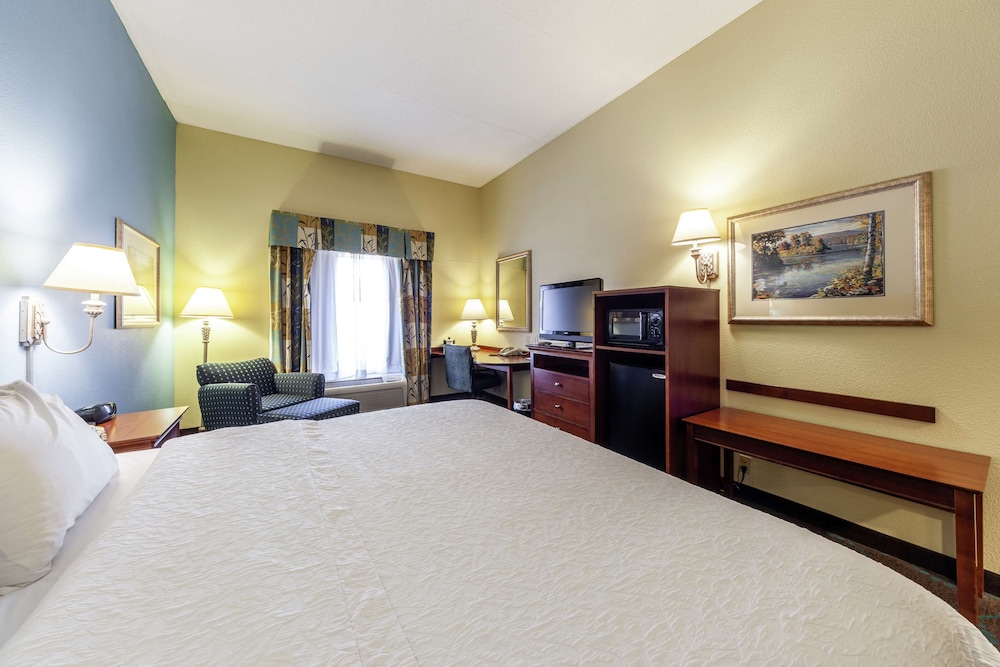 Room, 1 King Bed, Accessible, Bathtub - Photo 2