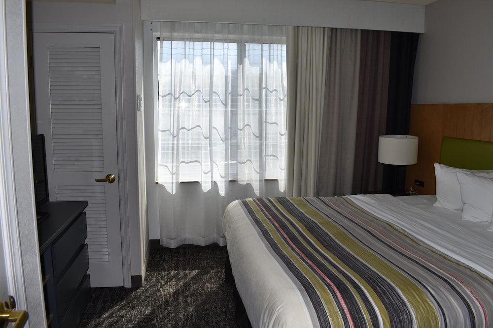 Suite, 1 Bedroom, Non Smoking photo 3