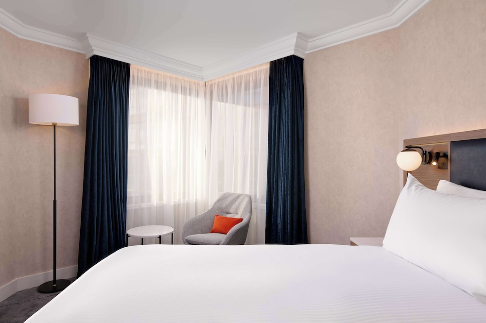 Suite, 1 King Bed