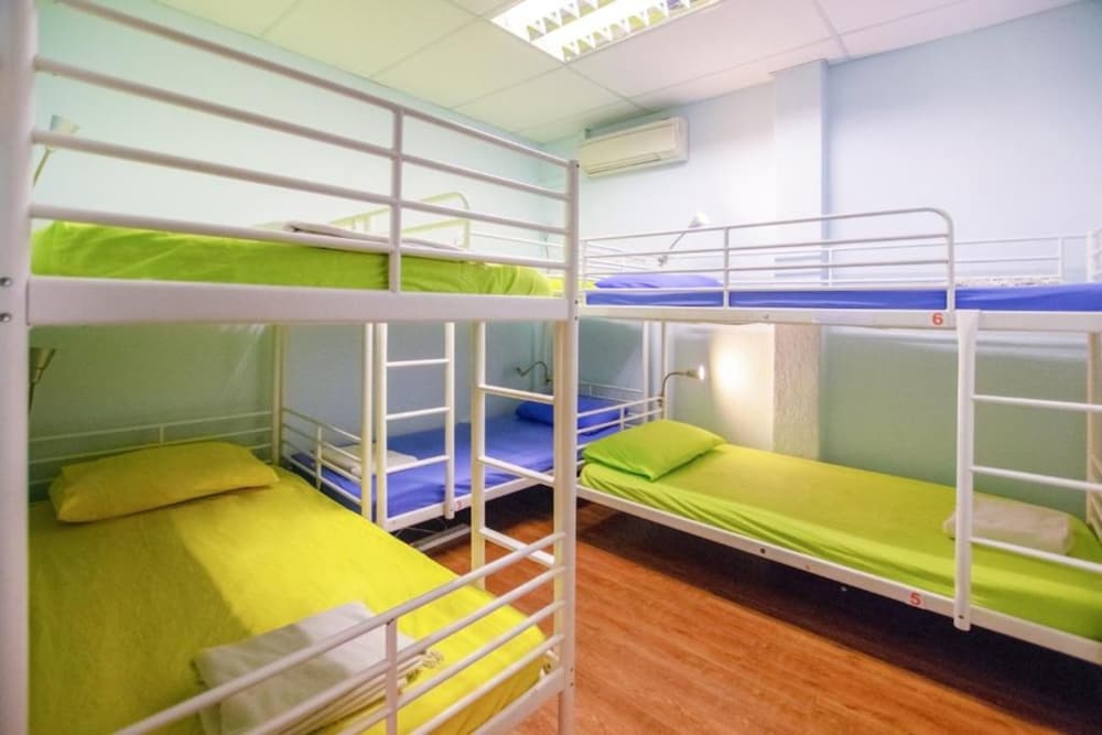 Single Bed in 6-Bed Female Room photo 2