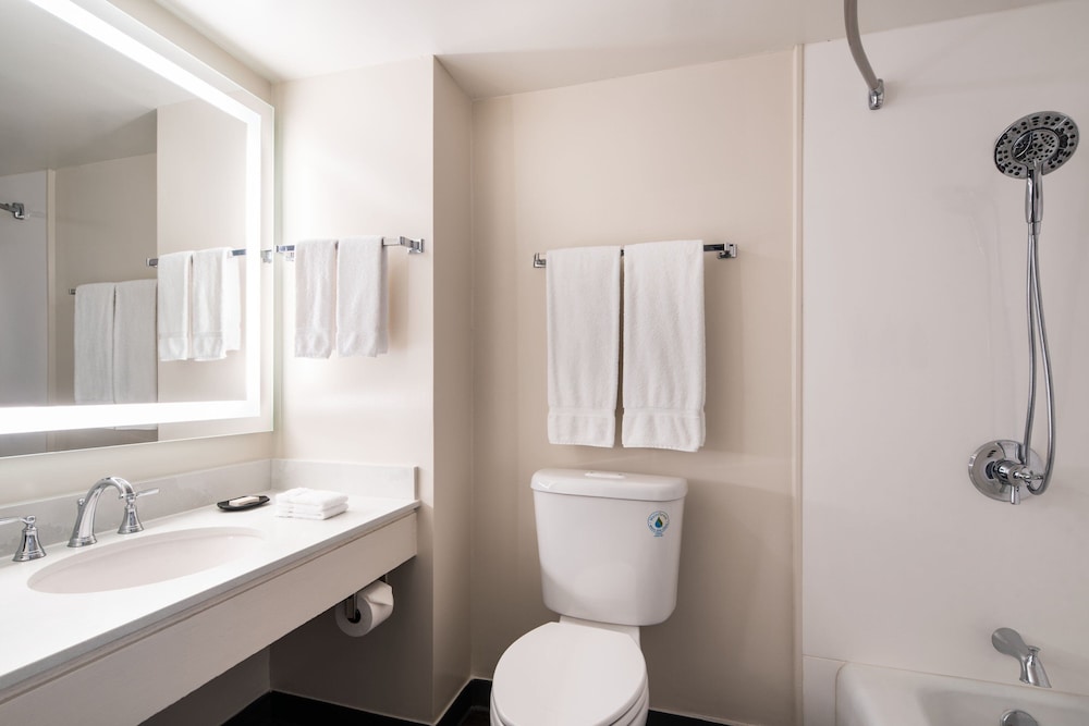 Standard Room, 2 Double Beds