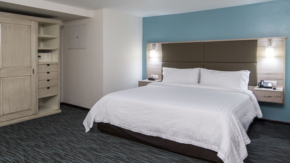 Suite, 1 King Bed - Photo 8