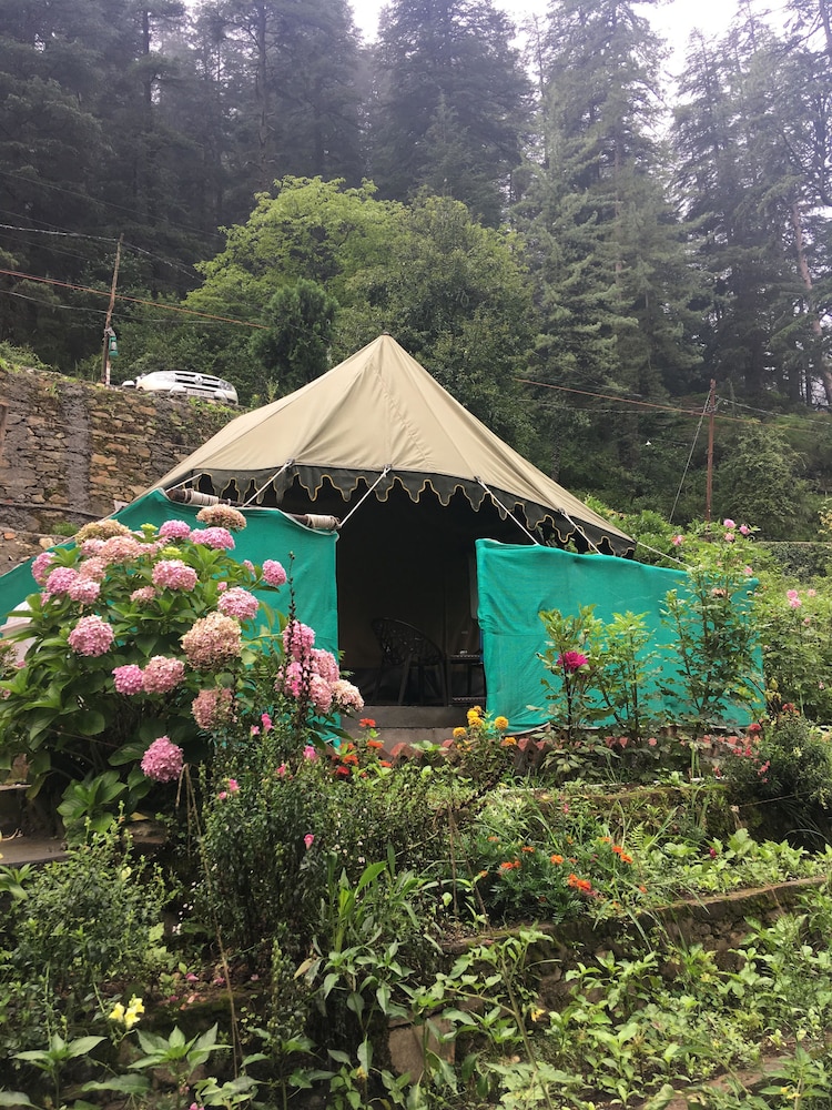 Swiss Cottage Tent photo 2