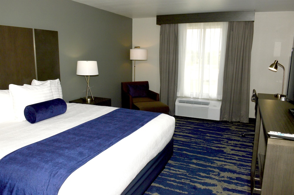 Standard Room, 1 King Bed, Non Smoking, Refrigerator & Microwave photo 3