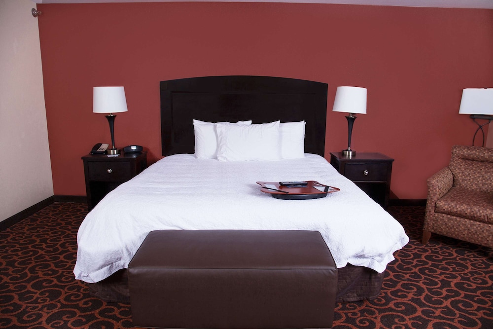 Studio, 1 King Bed, Accessible (Hearing) photo 1