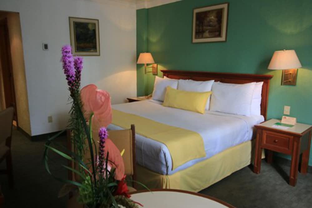 Deluxe Room, 1 King Bed photo 1
